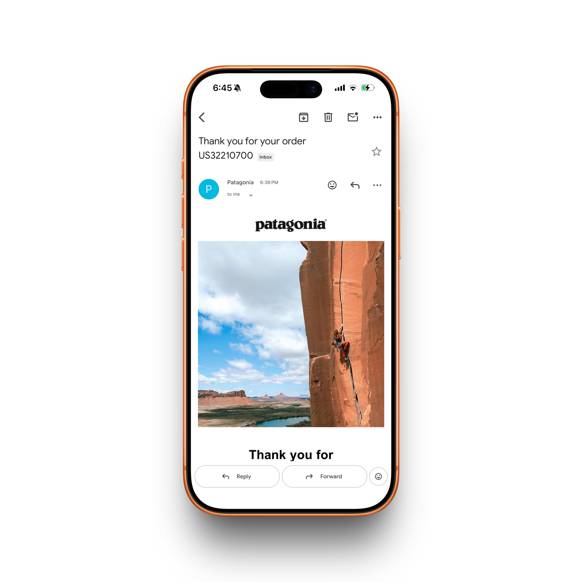 Patagonia Receipt