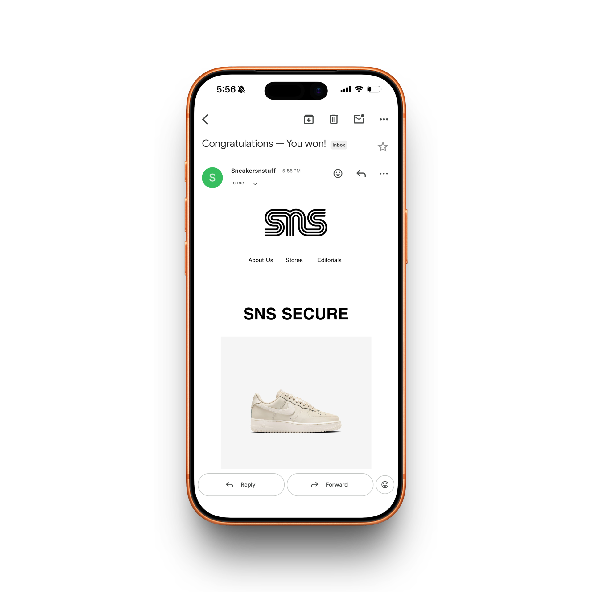 Sneakersnstuff Receipt